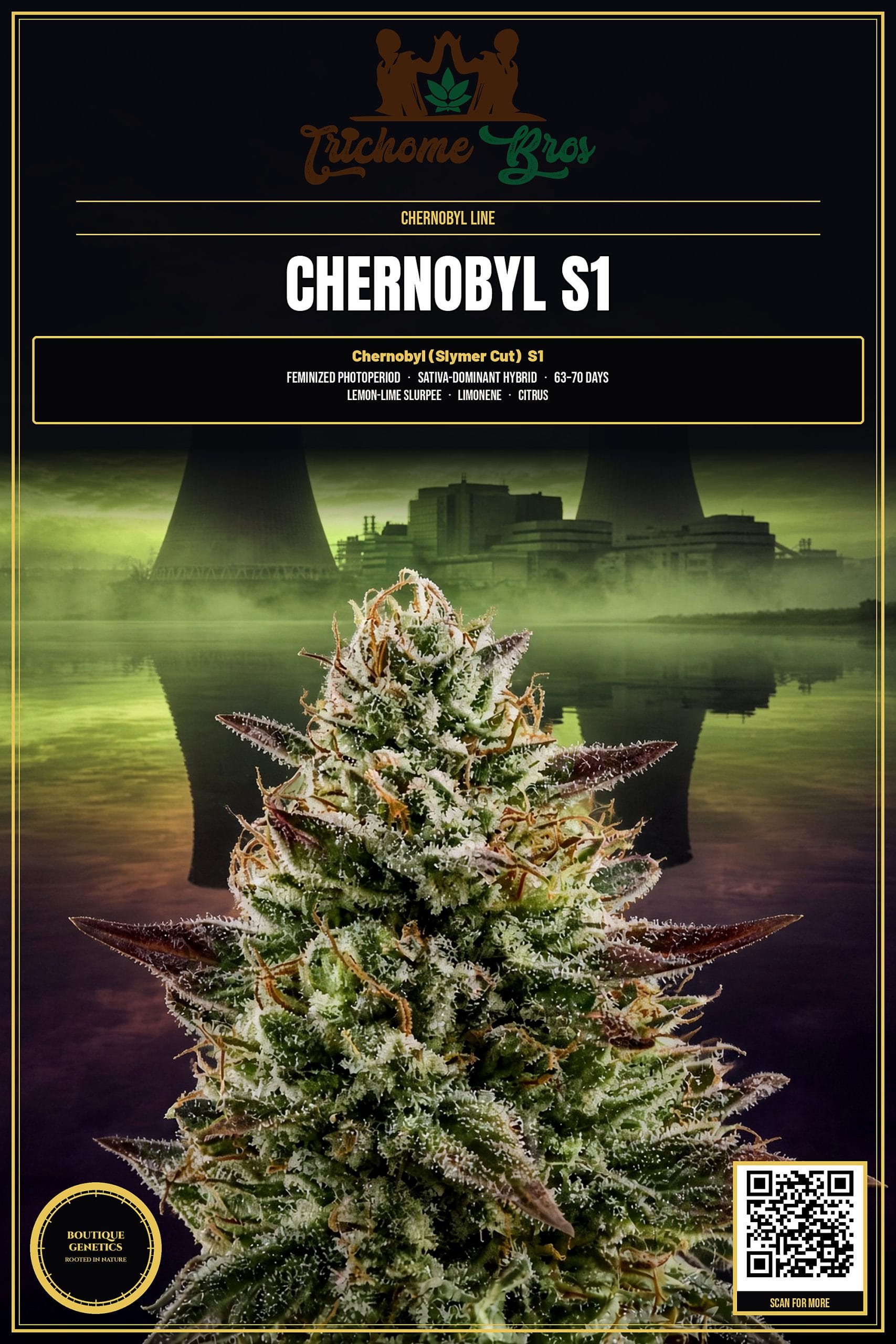 TRICHOME_BROS_CHERNOBYL_S1_FLYER_1