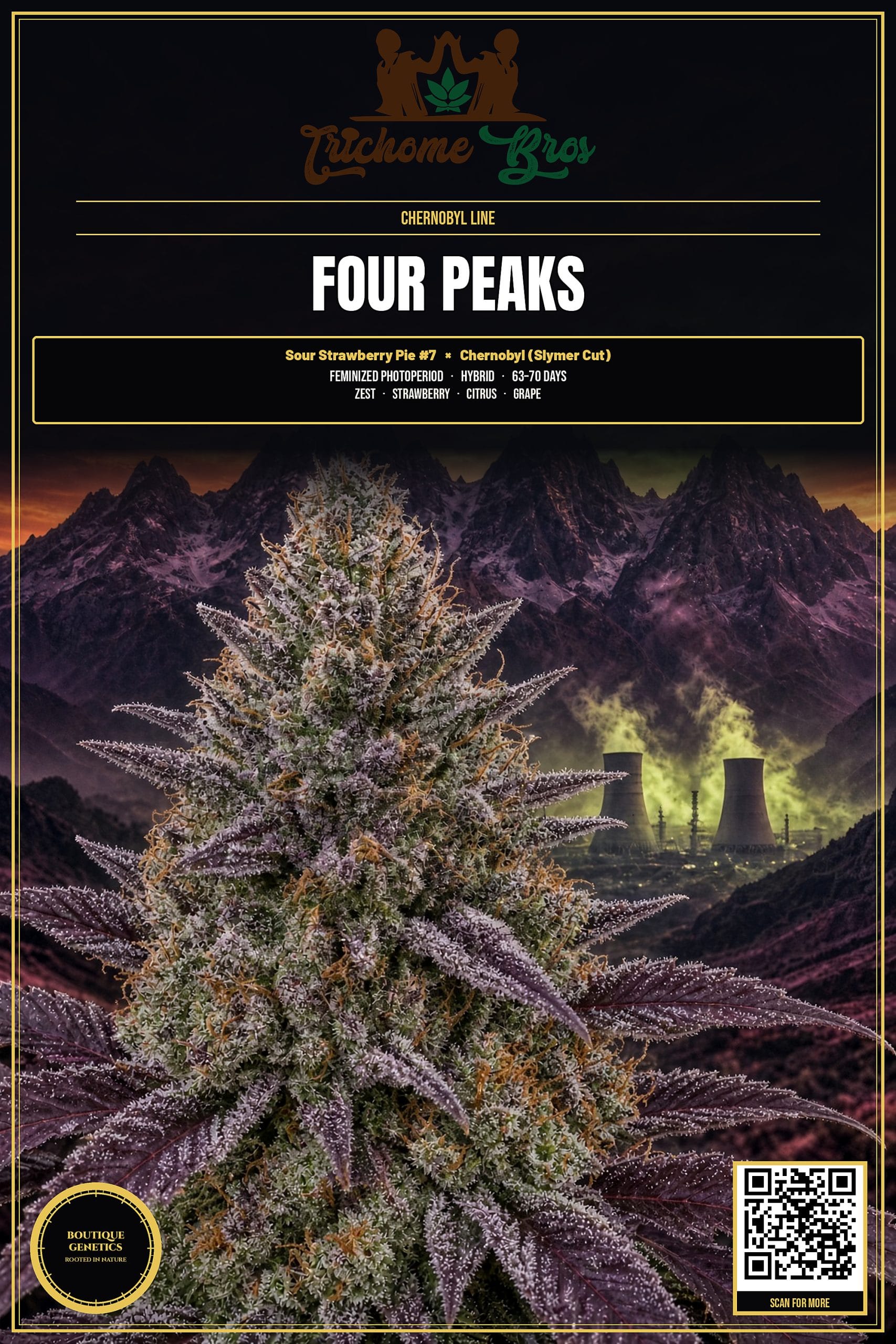 TRICHOME_BROS_FOUR_PEAKS_FLYER_1