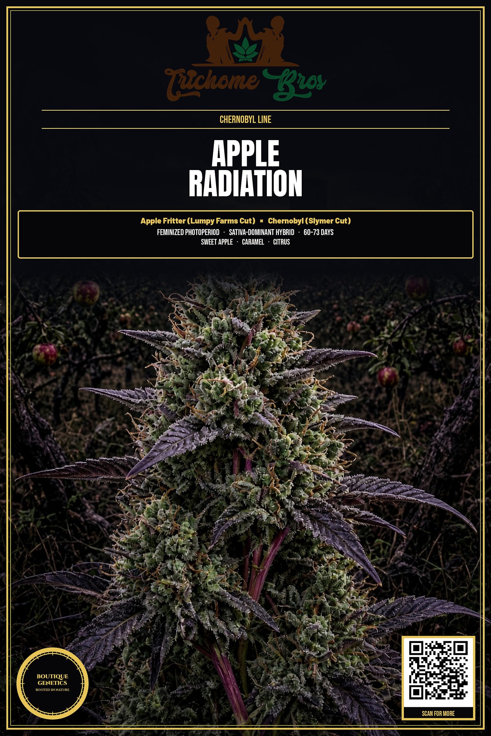 TRICHOME_BROS_APPLE_RADIATION_FLYER_1