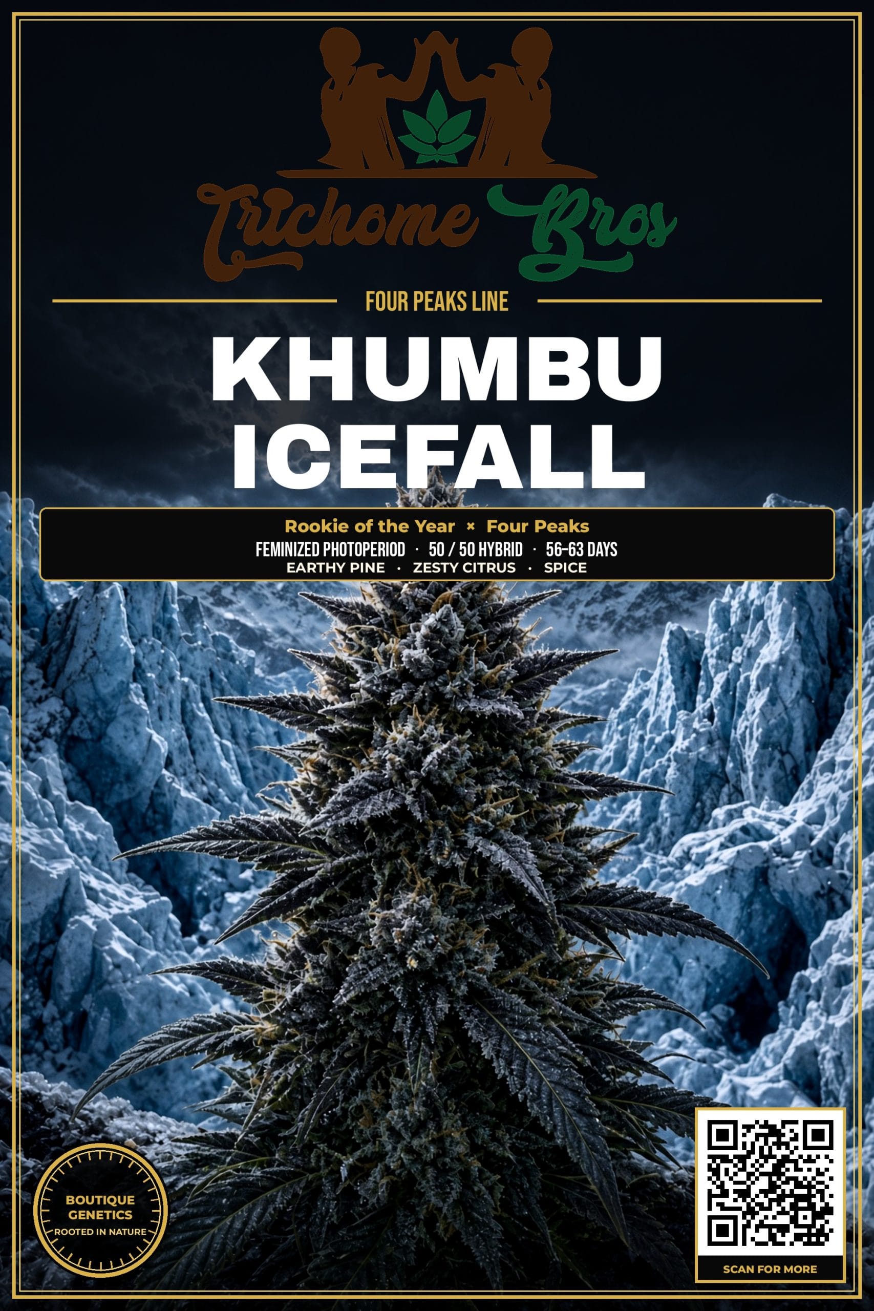 TRICHOME_BROS_KHUMBU_ICEFALL_FLYER_1