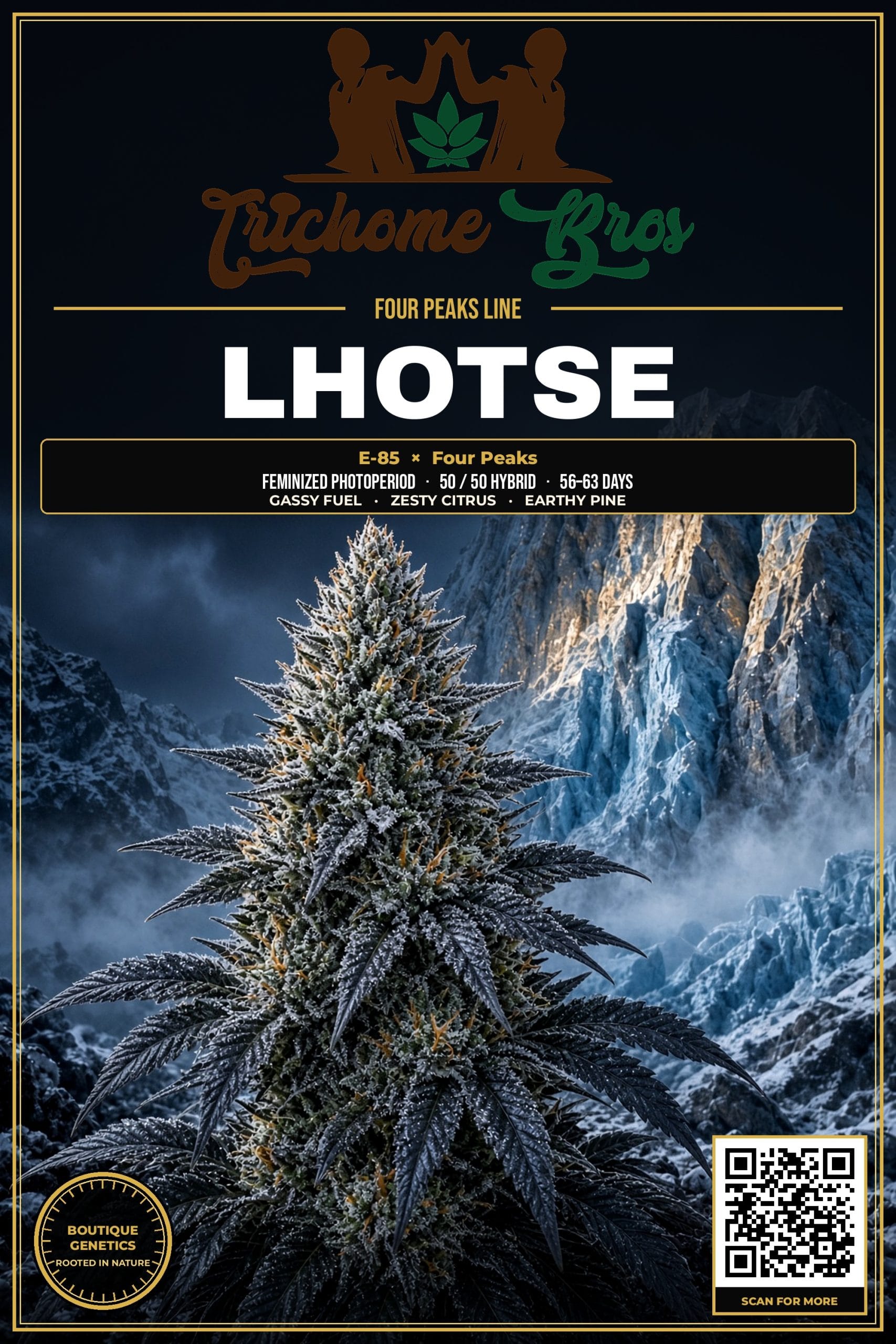 TRICHOME_BROS_LHOTSE_FLYER_1