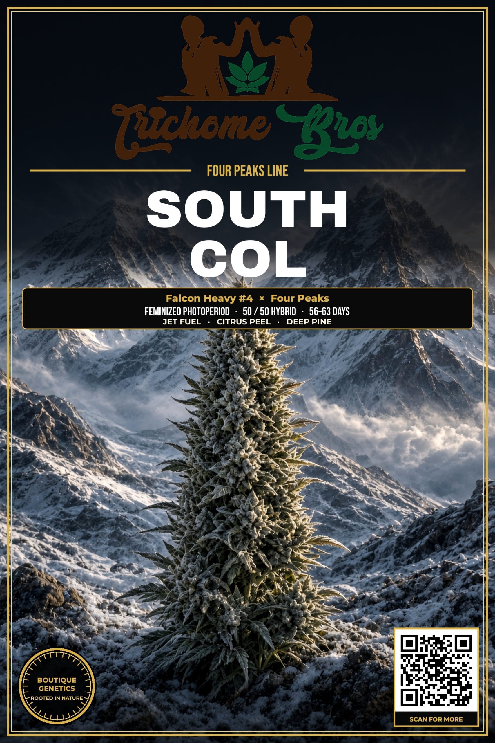 TRICHOME_BROS_SOUTH_COL_FLYER_1
