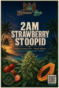 TRICHOME_BROS_2AM_STRAWBERRY_STOOPID_FLYER_1