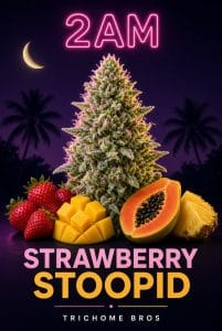 TRICHOME_BROS_2AM_STRAWBERRY_STOOPID_FLYER_2