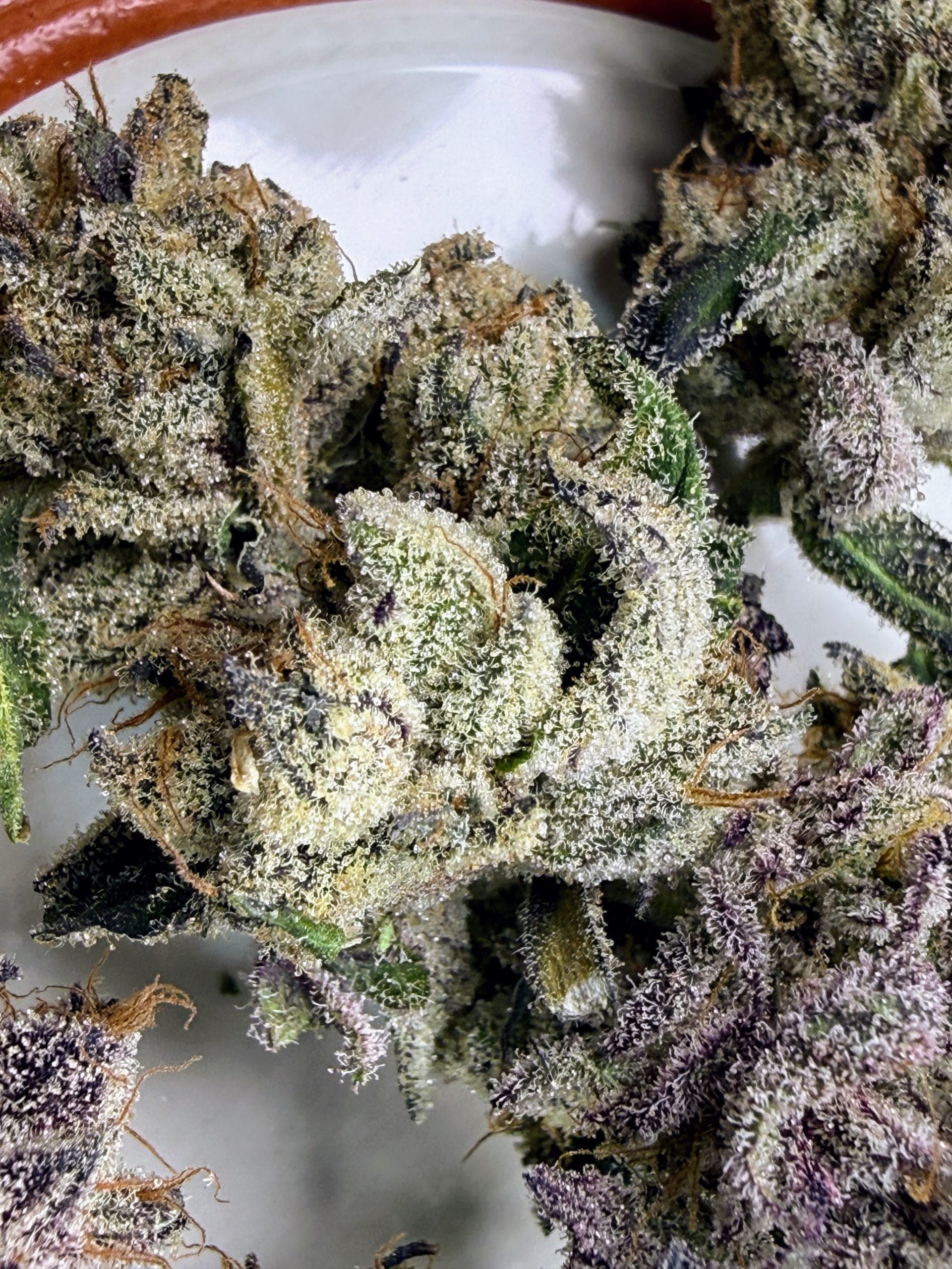 TRICHOME_BROS_ASMODEUS_CREAM_FLOWER_9