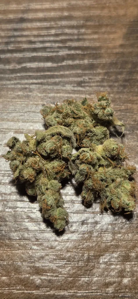 TRICHOME_BROS_BORA_BORA_SHERBERT_FLOWER_4