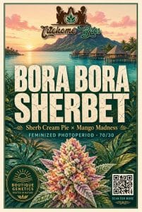 TRICHOME_BROS_BORA_BORA_SHERBET_FLYER_1