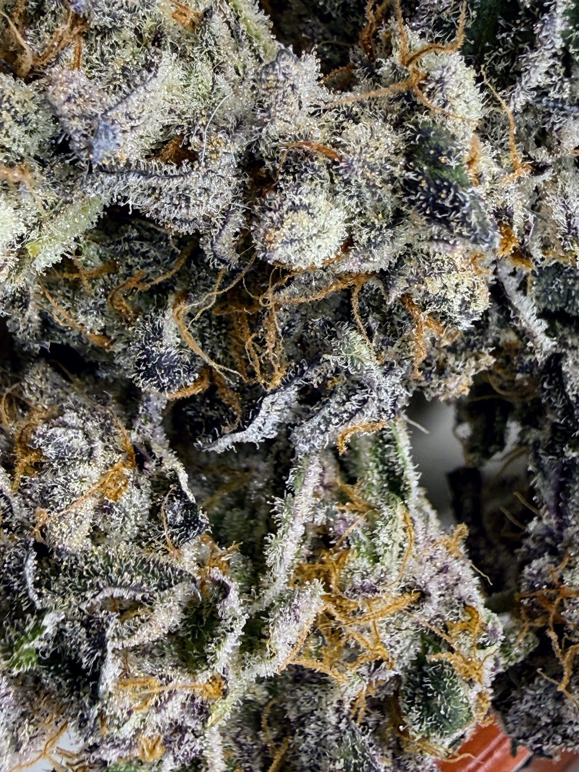 TRICHOME_BROS_CHIMERA_CHEW_FLOWER_2