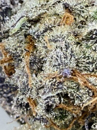 TRICHOME_BROS_CHIMERA_CHEW_FLOWER_4