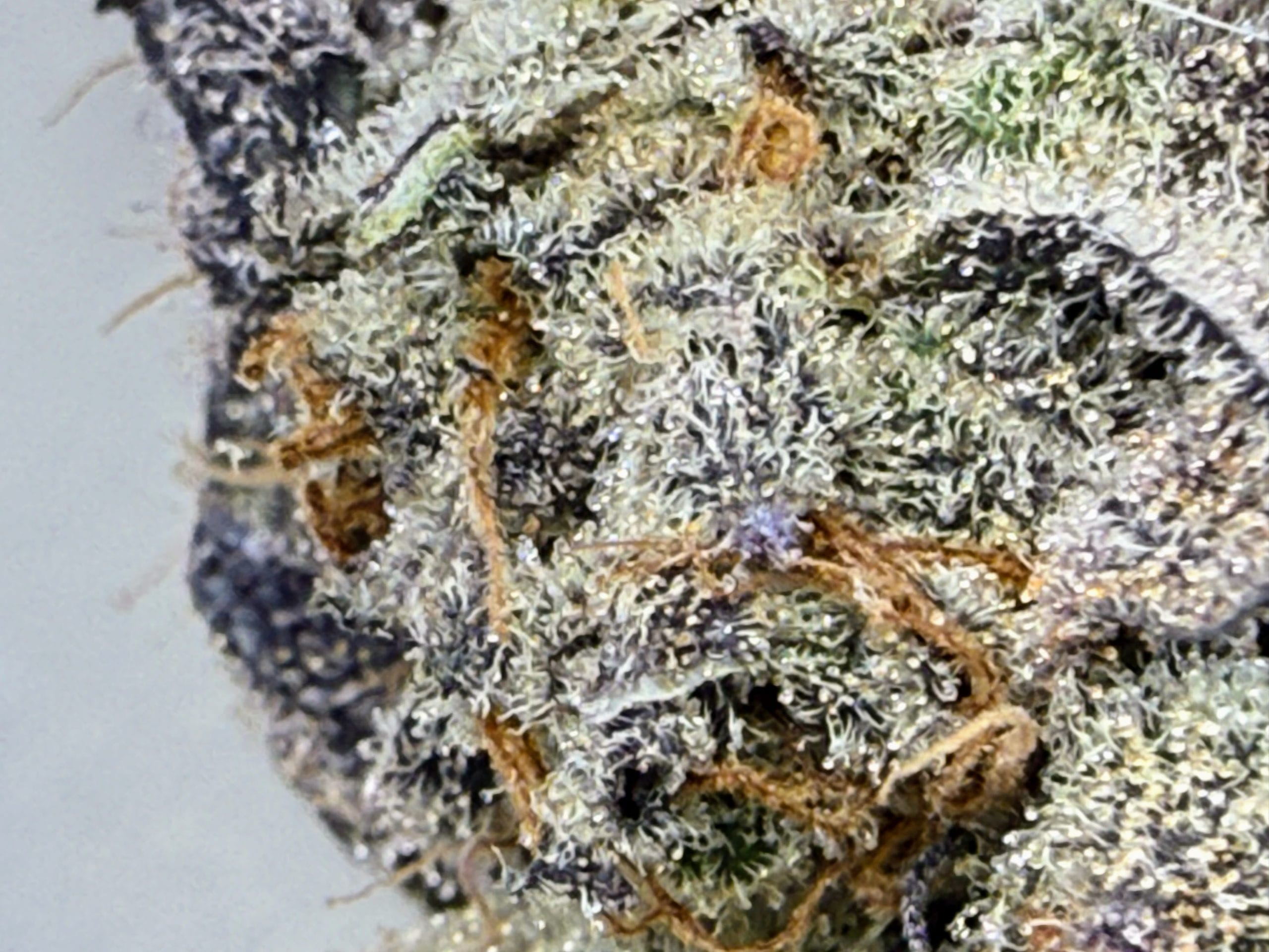 TRICHOME_BROS_CHIMERA_CHEW_FLOWER_4
