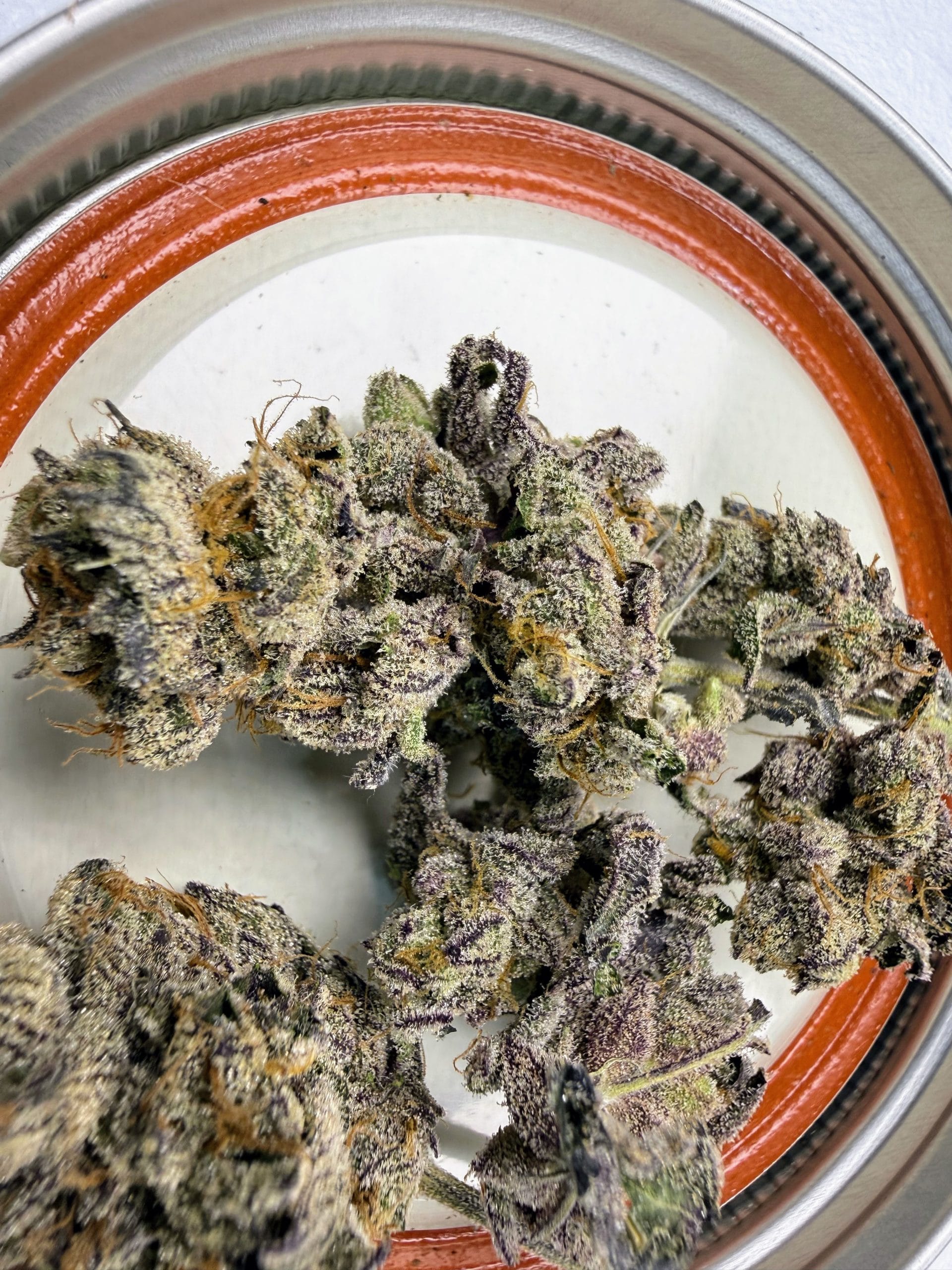 TRICHOME_BROS_DEVILS_BERRY_GAS_FLOWER_1