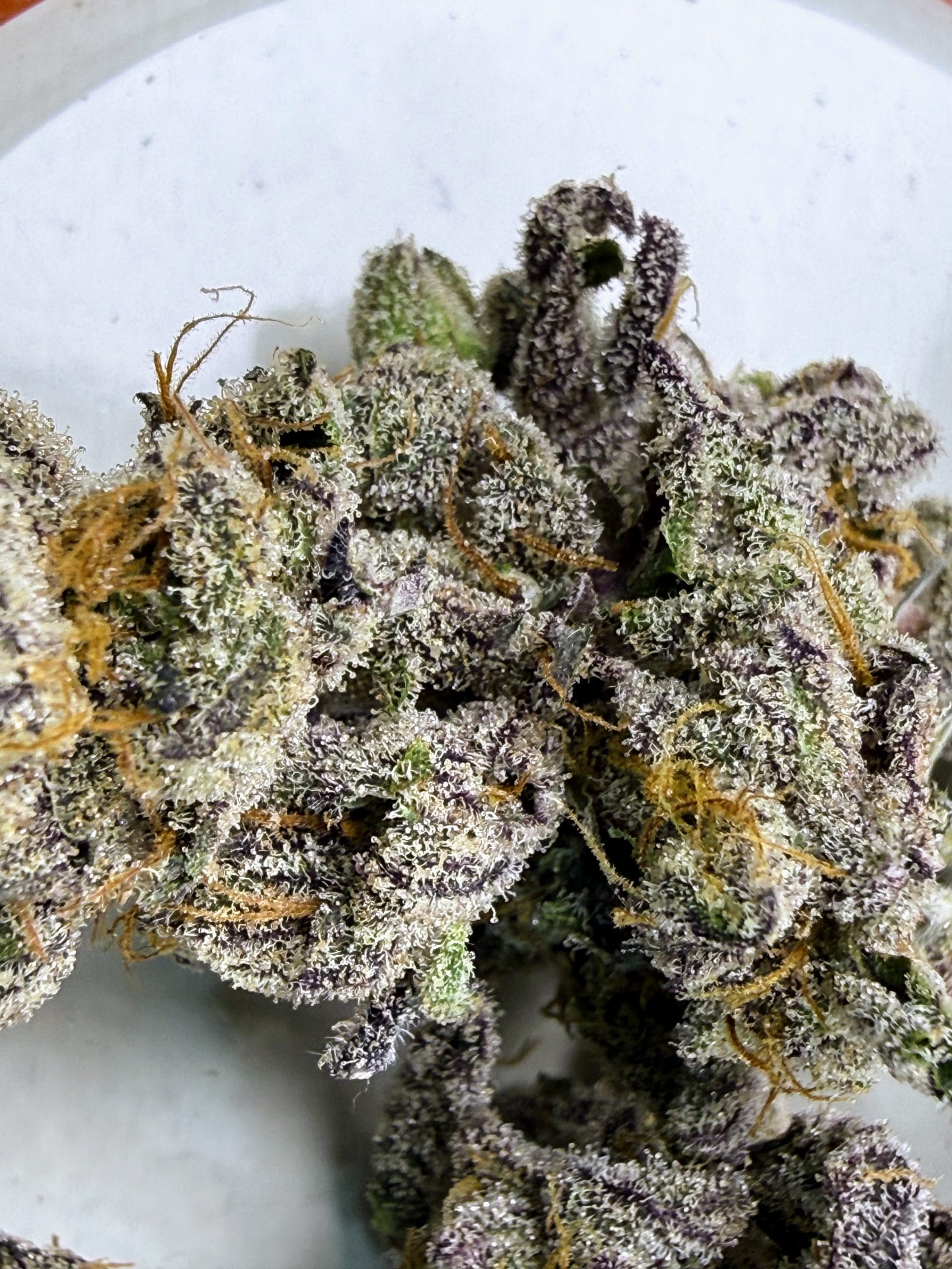TRICHOME_BROS_DEVILS_BERRY_GAS_FLOWER_2