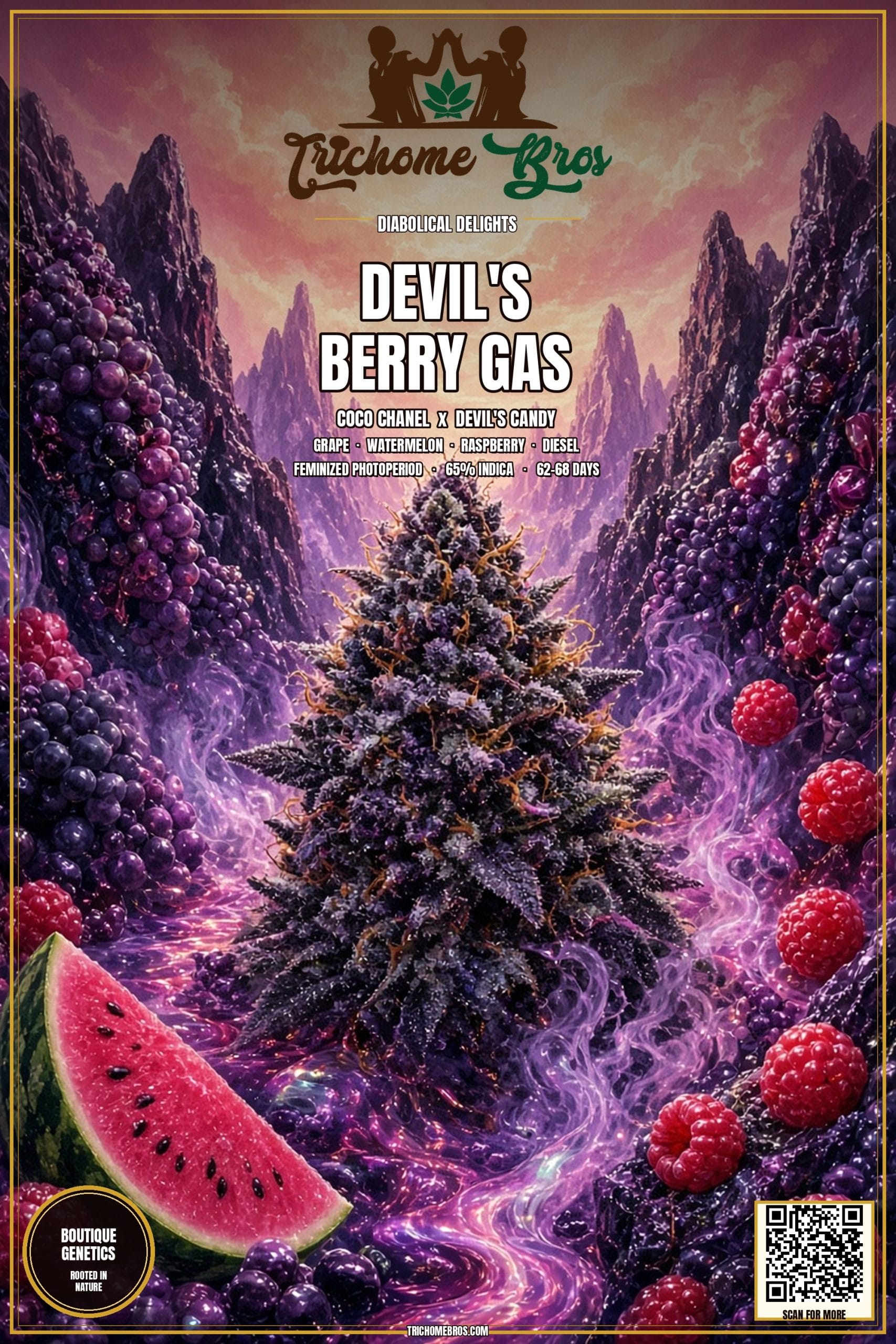 TRICHOME_BROS_DEVILS_BERRY_GAS_FLYER_1