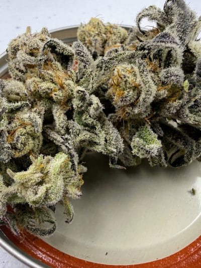 TRICHOME_BROS_DEVILS_CANDY_S1_FLOWER_1