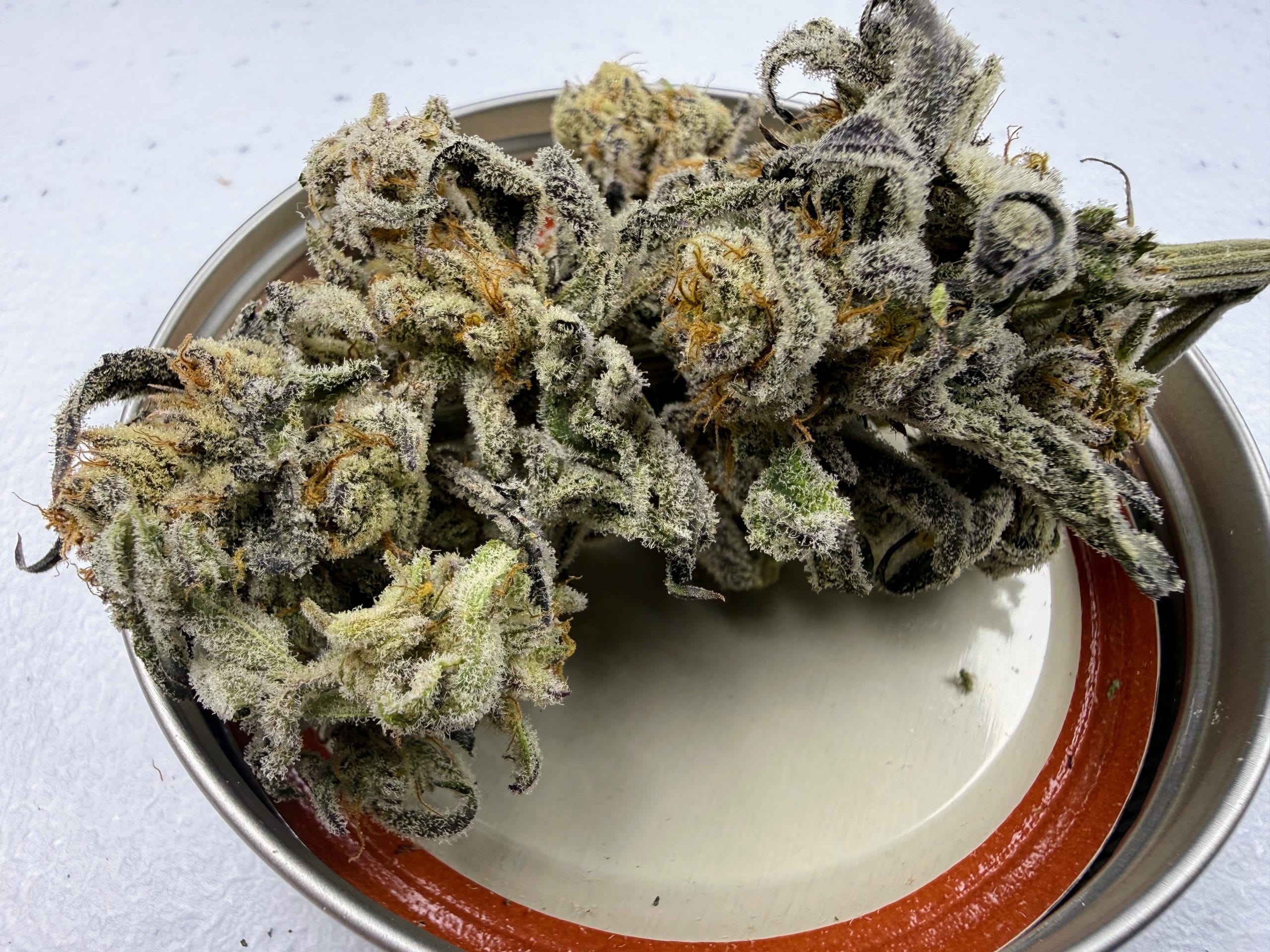 TRICHOME_BROS_DEVILS_CANDY_S1_FLOWER_1