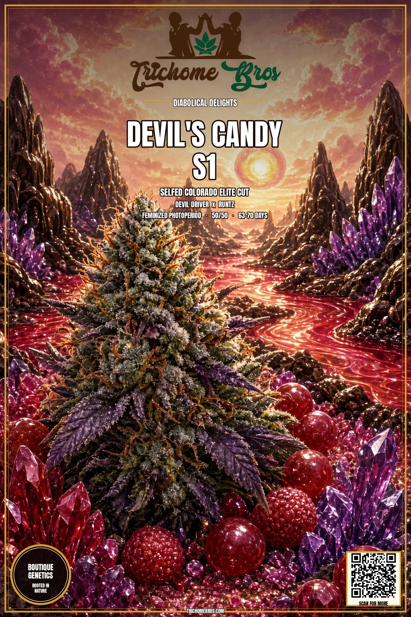 TRICHOME_BROS_DEVILS_CANDY_S1_FLYER_1