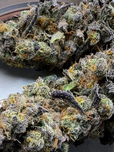 TRICHOME_BROS_DIABLO_CREAMSICLE_FLOWER_2