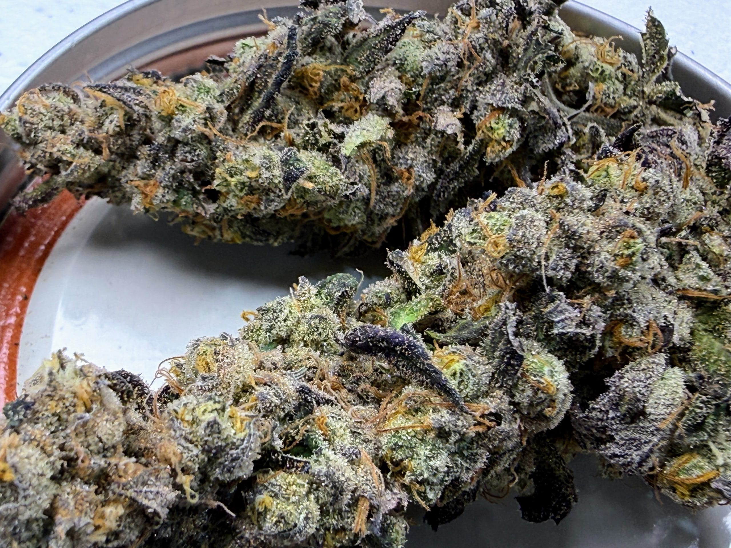 TRICHOME_BROS_DIABLO_CREAMSICLE_FLOWER_2