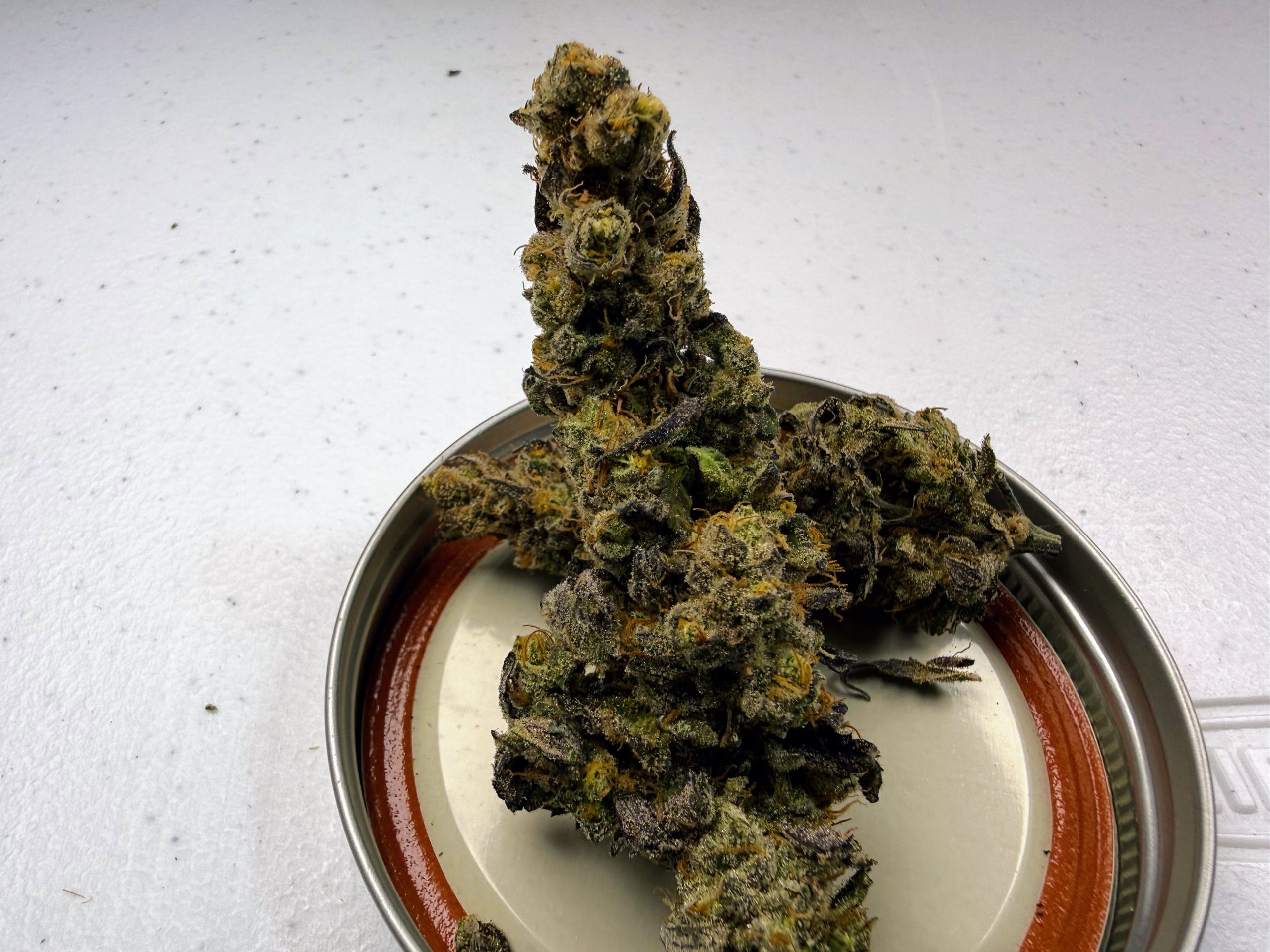 TRICHOME_BROS_DIABLO_CREAMSICLE_FLOWER_3
