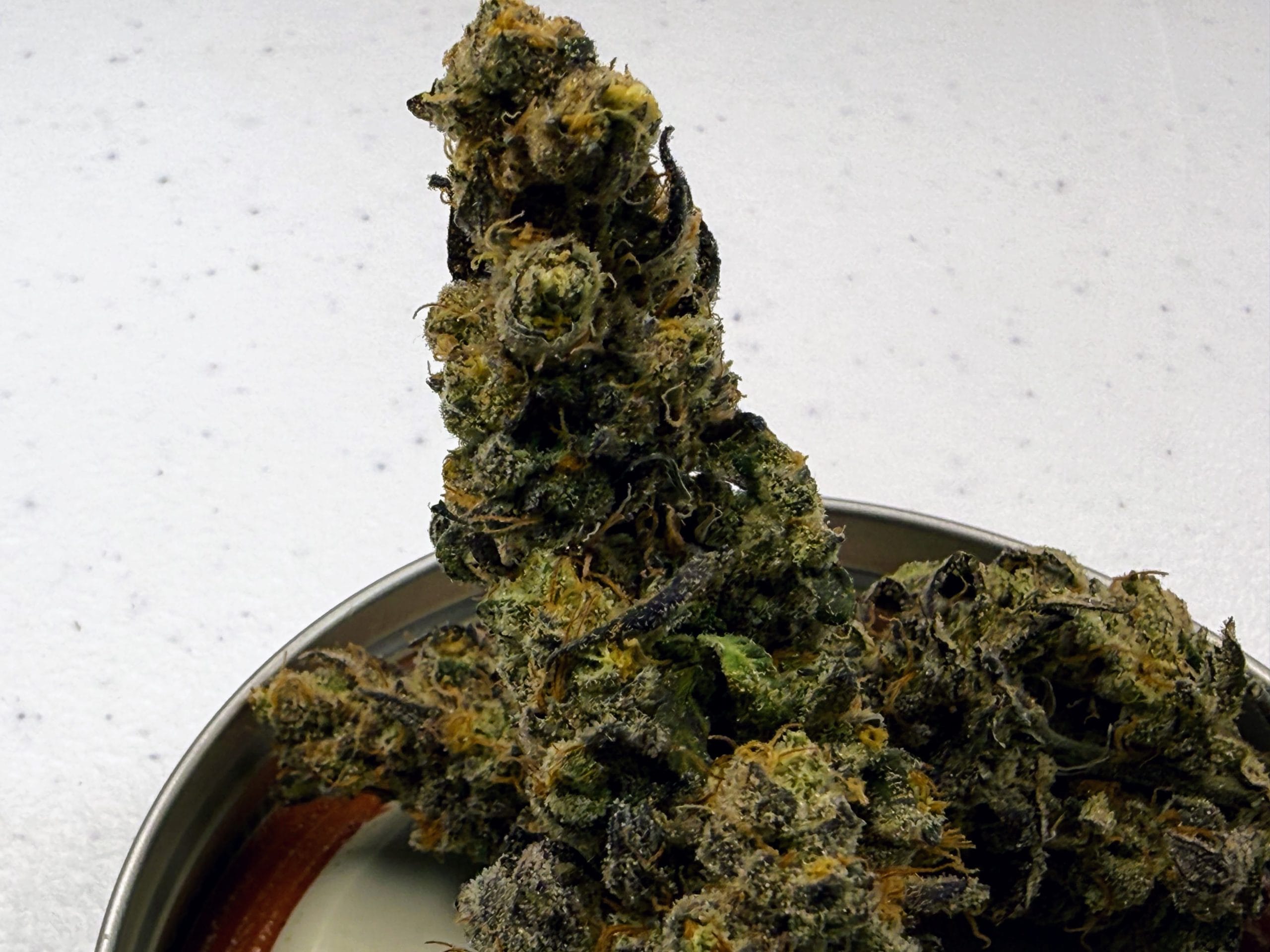 TRICHOME_BROS_DIABLO_CREAMSICLE_FLOWER_4