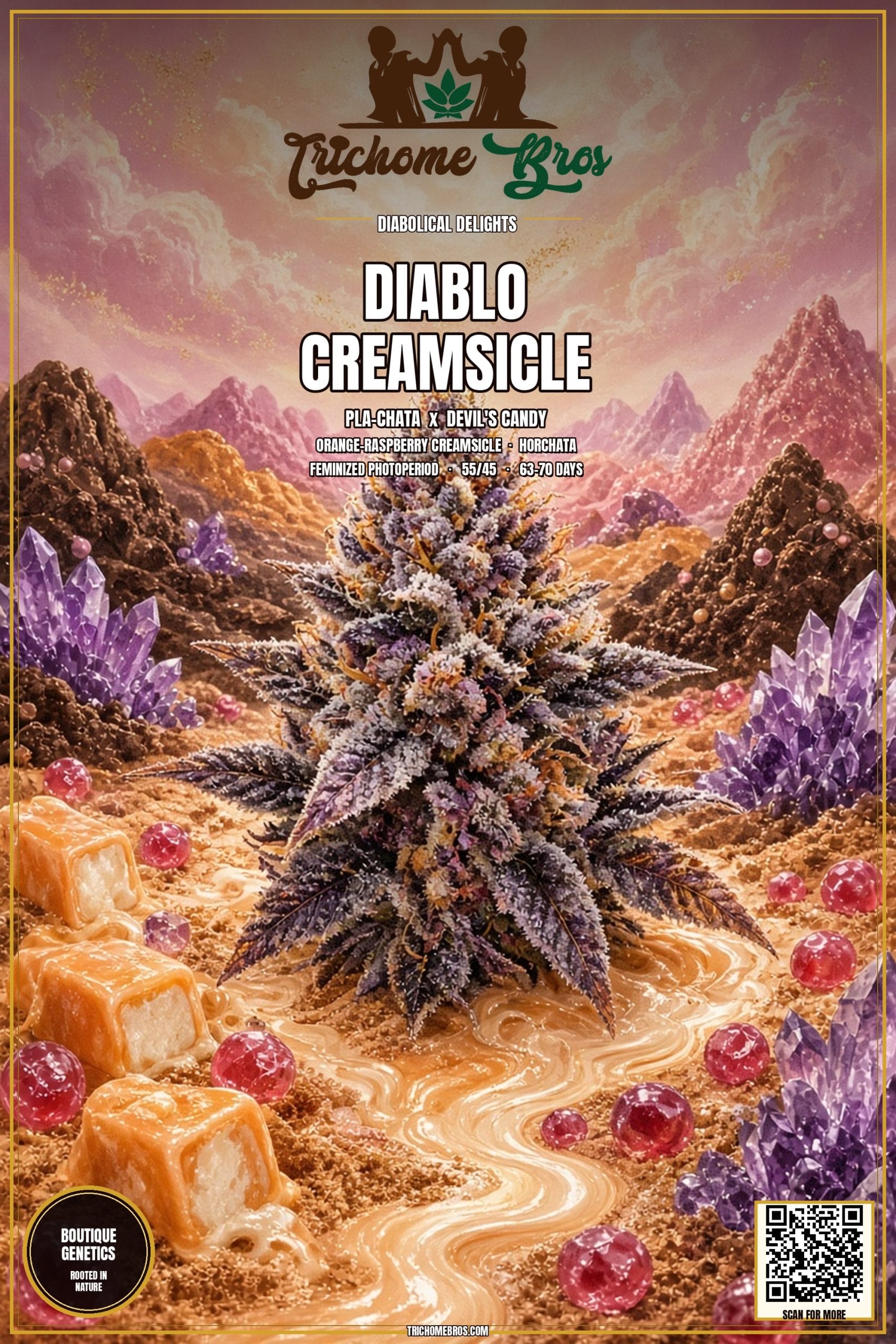 TRICHOME_BROS_DIABLO_CREAMSICLE_FLYER_1