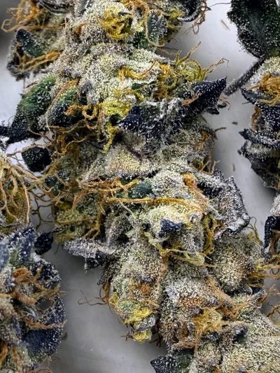 TRICHOME_BROS_EREBUS_FROSTING_FLOWER_2