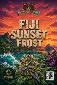 TRICHOME_BROS_FIJI_SUNSET_FROST_FLYER_1
