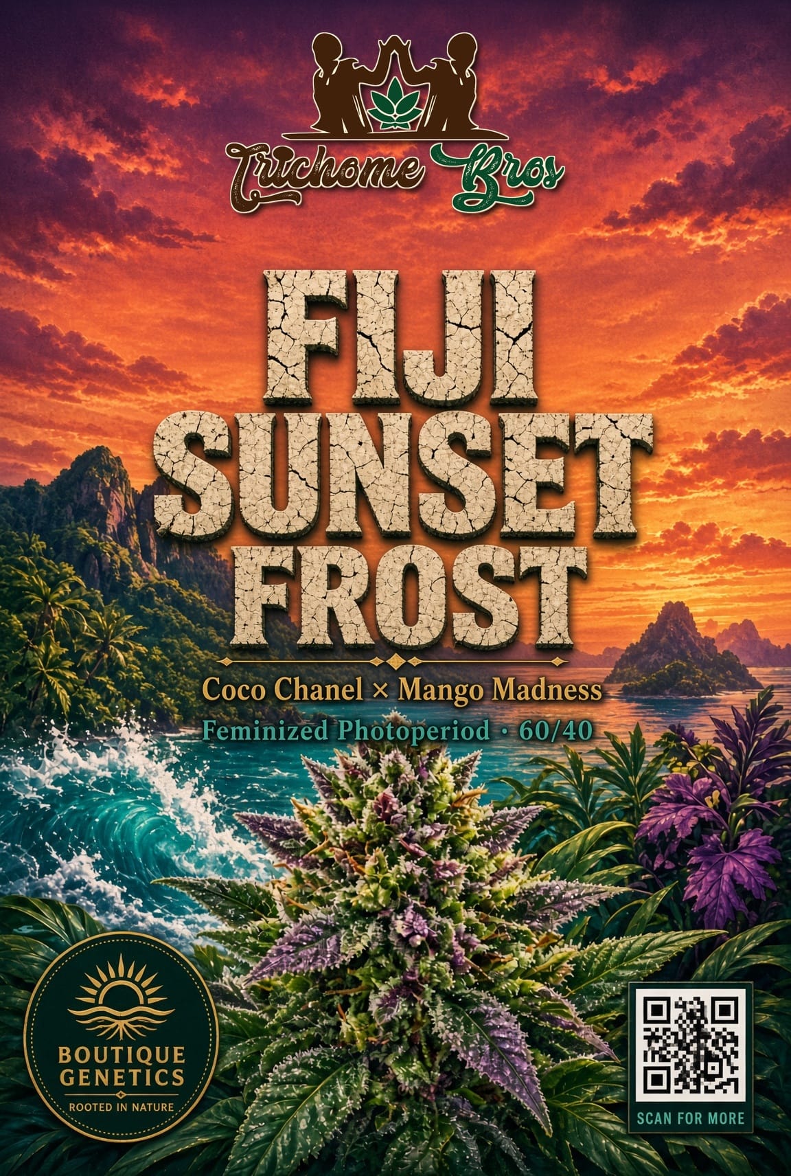 TRICHOME_BROS_FIJI_SUNSET_FROST_FLYER_1
