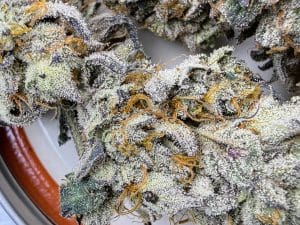 TRICHOME_BROS_LUCIFER_CRUMBLE_FLOWER_2