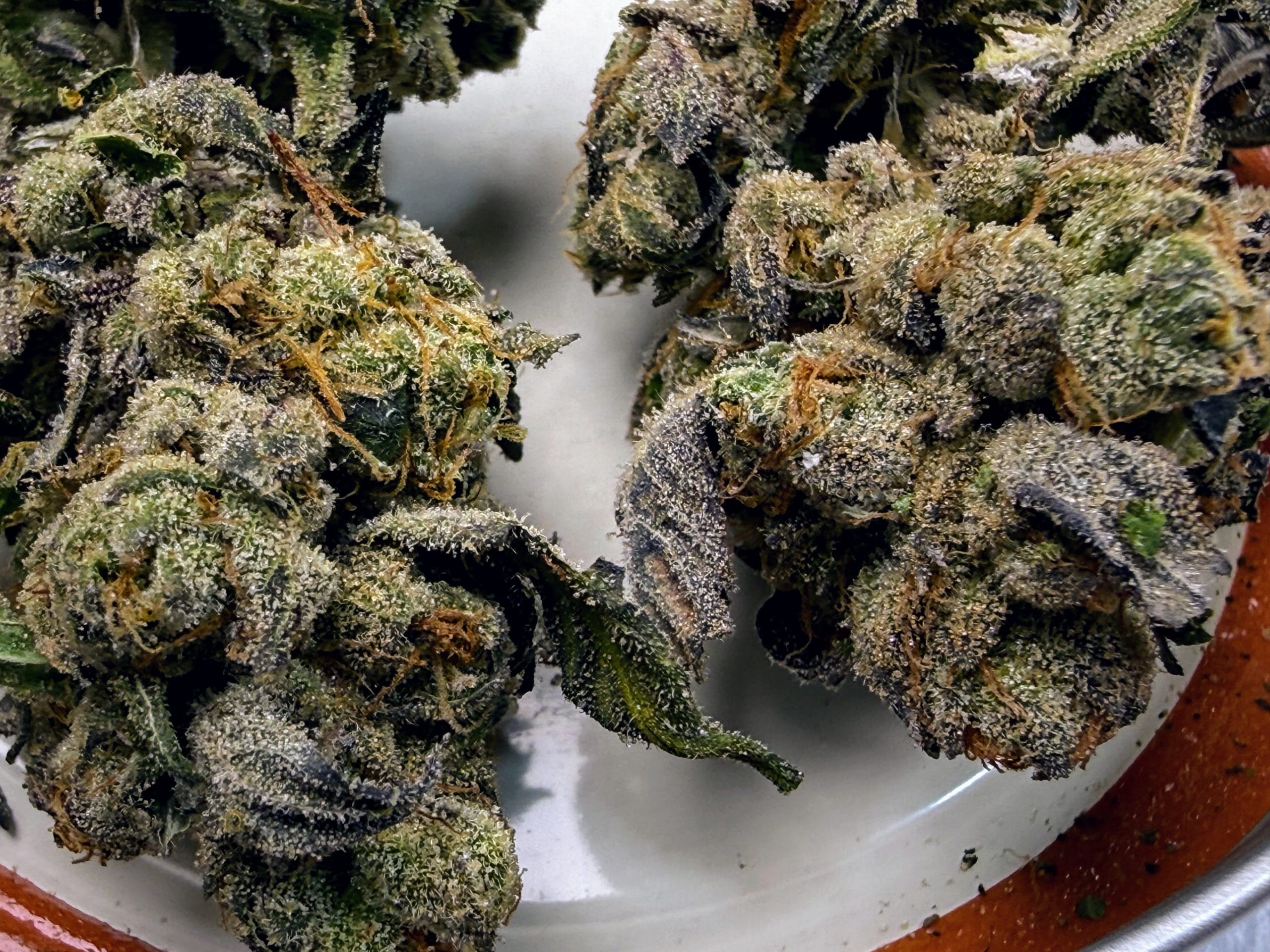 TRICHOME_BROS_MAELSTROM_CAKE_FLOWER_2
