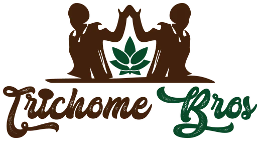TRICHOME_BROS_PRIMARY_HEADER_VERSION TRICHOME_BROS_PRIMARY_HEADER_VERSION