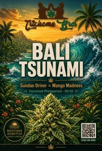 TRICHOME_BROS_BALI_TSUNAMI_FLYER_1