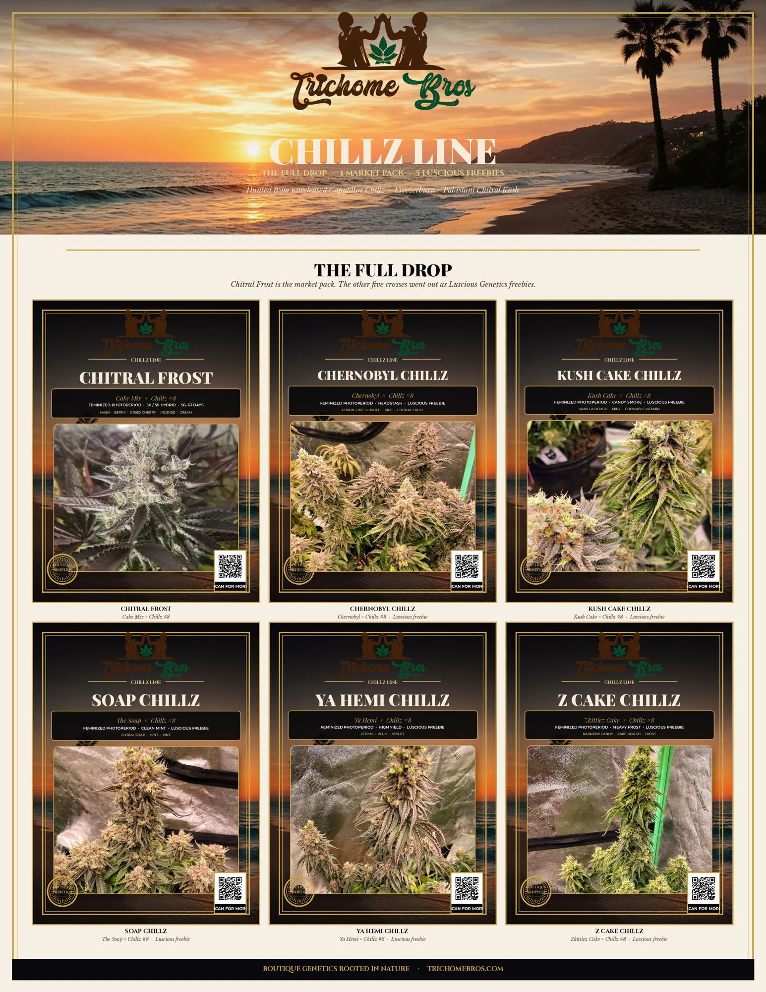 TRICHOME_BROS_CHILLZ_LINE_FULL_DROP_FLYER TRICHOME_BROS_CHILLZ_LINE_FULL_DROP_FLYER
