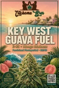 TRICHOME_BROS_KEY_WEST_GUAVA_FUEL_FLYER_1