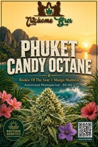 TRICHOME_BROS_PHUKET_CANDY_OCTANE_FLYER_1