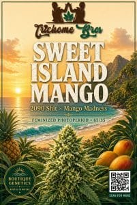 TRICHOME_BROS_SWEET_ISLAND_MANGO_FLYER_1