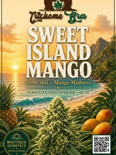 TRICHOME_BROS_SWEET_ISLAND_MANGO_FLYER_1