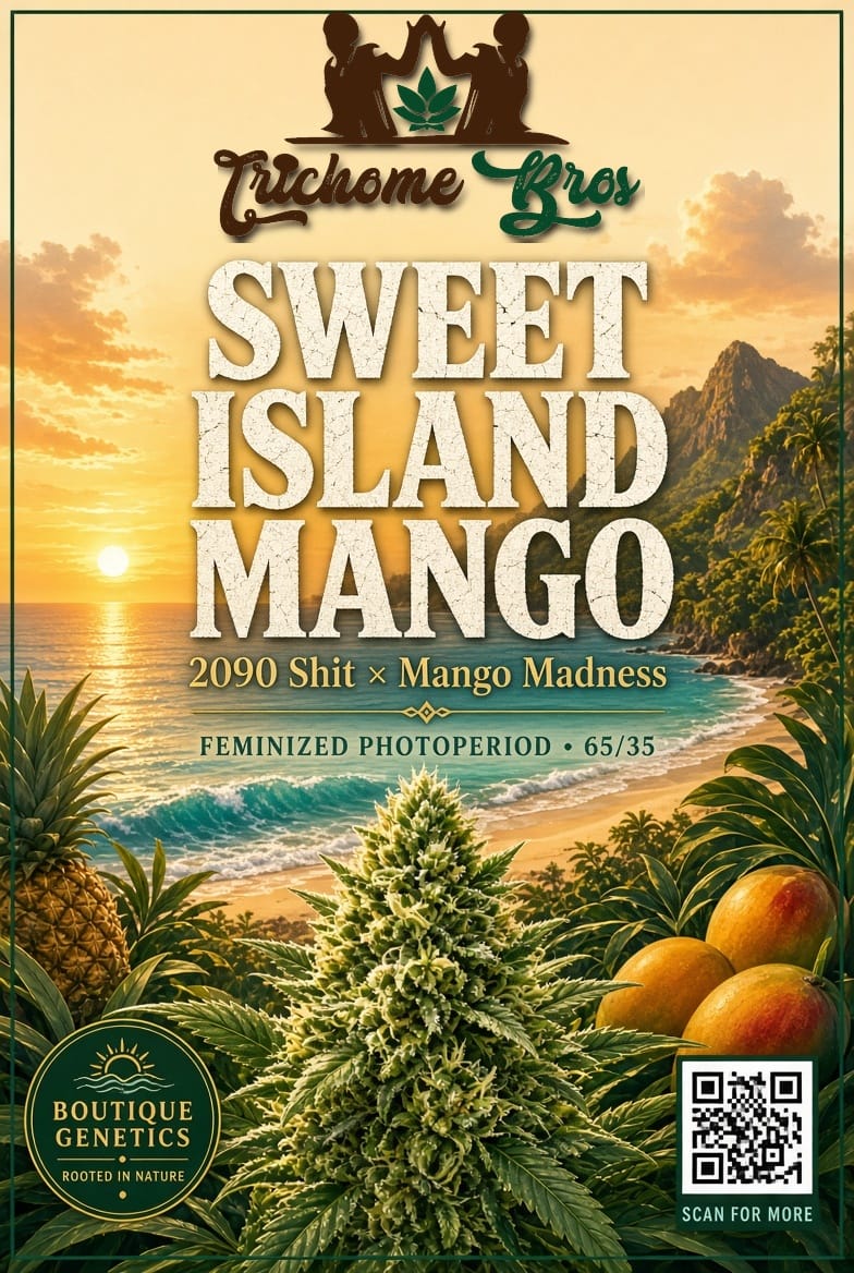 TRICHOME_BROS_SWEET_ISLAND_MANGO_FLYER_1